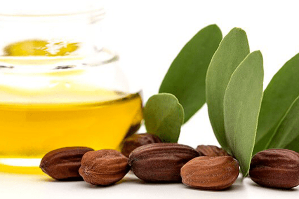 فوائد الزيوت الطبيعية – قريني بيو