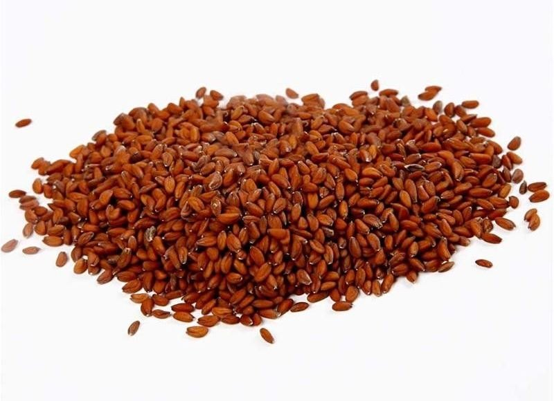 فوائد حب الرشاد