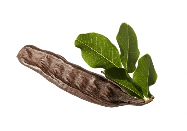 فوائد الخروب