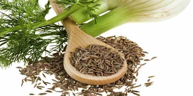 فوائد البسباس