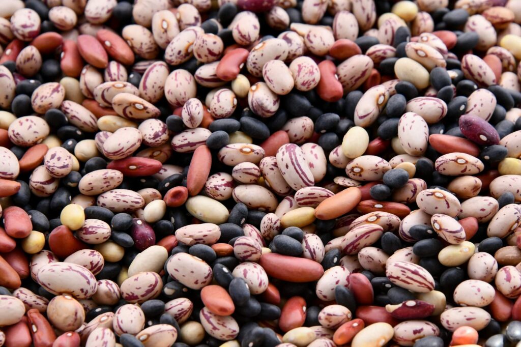 فوائد الفول