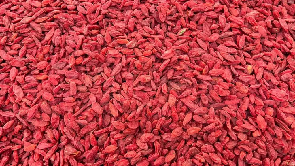 توت الغوجي